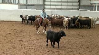 Smart Little Pepiroo - Herd