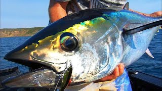 Melbourne Tuna Frothin