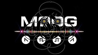 javi Gon@Moog (12.11.2023)