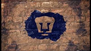 Cumbia de los trapos Pumas   Anselmo Dj