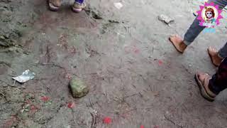 Ganpati visarjan in dkk