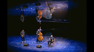 Nenad Vasilic Trio - Live @ Novi Sad Jazz Festival