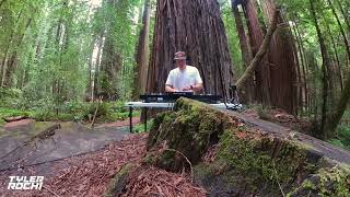 Tyler Rochi House Music DJ Set in the California Redwoods