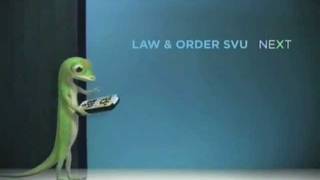 Gecko & SVU