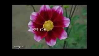 Because I Love You _Clip & sing by Sonny Pham