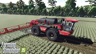 FS25 | AGRIFAC Gets Its First Spray On Herbicid and CaseIH 7150 Wheat Harvest ! ReShade Gameplay