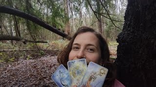 Intuitive Tarot December 21,2022