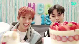 HBD 218 bro🐶🐻‍❄️ | SEVENTEEN DK & VERNON BIRTHDAY WEVERSE LIVE (18.02.2023)