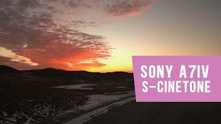 Sony A7 IV With Tamron 17-28mm F2.8 S-Cinetone test footage