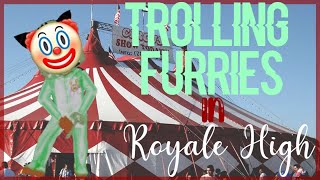 Trolling a FURRY ODER in Royale High! || Lovely Valerie