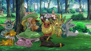 Eeveelutions ~AMV~ Motivation | Pokemon Times