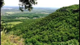 Fly Around My Pretty Little Miss