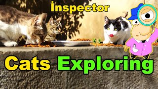 Herd of cats still continue to explore the historical place (Episode 2)
