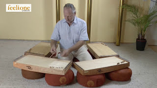 Monochord - Monolina MO-34 Variation