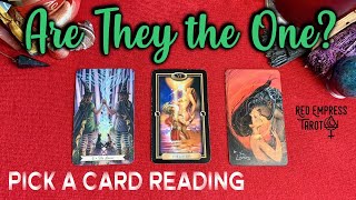 ❣️💍ARE THEY THE ONE Pick a Card Reading 💍❣️Is He / Is She My Soulmate ♾Is My Crush The One For Me?