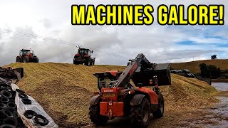 Maize DONE! | The Start Of JM Weekly?...