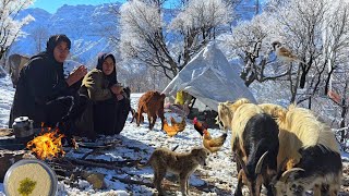 How do Iranian nomadic women survive without facilities in the deadly cold of snowy mountains?❄️