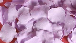 L-wiz - Lavender Wedding