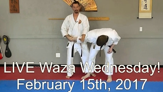 Announcement: LIVE Waza Wednesday, and a Joint Lock Webinar!