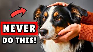 20 Things You Do That HURT Your Dog (Without Knowing)