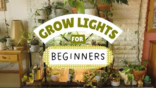 Grow Lights For Houseplants (Beginner-Friendly Advice to Grow Big Plants In Dark Spaces)