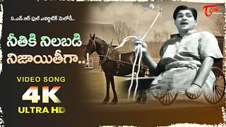 Neetiki Nilabadi Nijayitiga Song 4K | #ANR full Josh Song | Poola Rangadu Old | Old Telugu Songs
