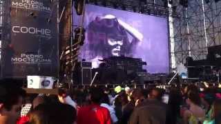 Stee Downes  " I Want You In my Soul " En Electric Planet Fest !!!!