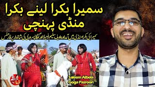 Reacting To Samira's Arrival To Buy A Goat At Bakra Mandi | Saleem Albela And Goga Pasroori