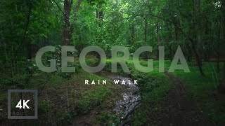 Relaxing Rain Walk in Nature ASMR, Rainfall Sounds for Relaxing and Study HDR