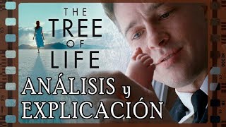 Analysis and Explanation of The Tree of Life