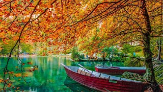 Beautiful Relaxing Music, Peaceful Instrumental Music, "Autumn Morning Sunrise" Soothing Relaxation