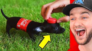 World’s FUNNIEST YouTube Shorts!