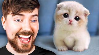 World's Cutest Animals!