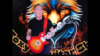 Vintage AV1 guitar review from JHS