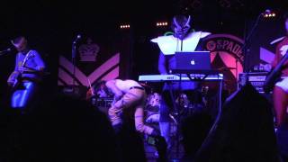 The Cosmonauts - Spotlight