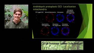 Alexander Kehl - Determining the Localization of OZ Proteins