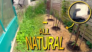 How To Turn Undergrowth Into A Pathway