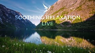 Explore! New Relaxation Music! - Soothing Relaxation LIVE Channel Trailer