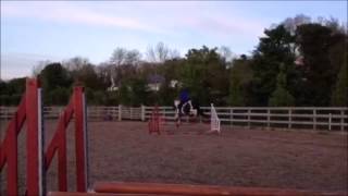 FOR SALE : IRISH TWIST