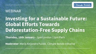 Investing for a Sustainable Future: Global Efforts Towards Deforestation-Free Supply Chains