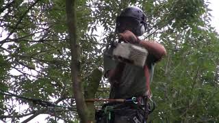 AG Tree Services - Tree Surgeons