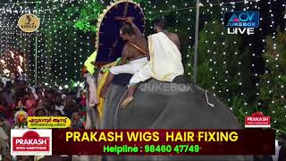 ACV Utsav Live  | Ettumanoor Arattu 2025