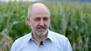 The 2023 Marcel Benoist Prize is awarded to Ted Turlings