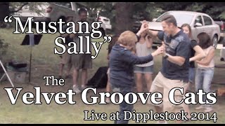 Velvet Groove Cats - Mustang Sally