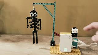 Skeleton