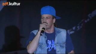 Dendemann - Abersowasvon LIVE @ Splash Festival 2011 [HQ]