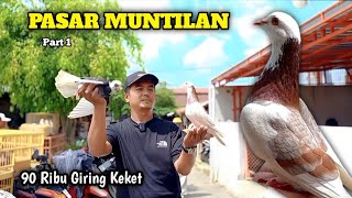 STILL LOOKING FOR GIRINGAN PIGEONS AT MEKAR MARKET, MUNTILAN, MAGELANG PART 1