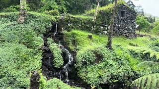 Parque da Silveira São Jorge Açores
