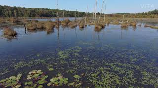 Big Haynes Creek Nature Center
