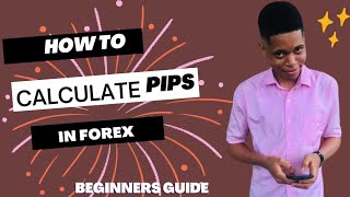 HOW TO CALCULATE PIPS IN FOREX  (BEGINNERS COURSE)